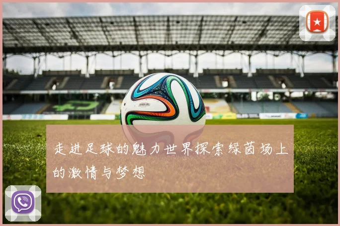 走进足球的魅力世界探索绿茵场上的激情与梦想