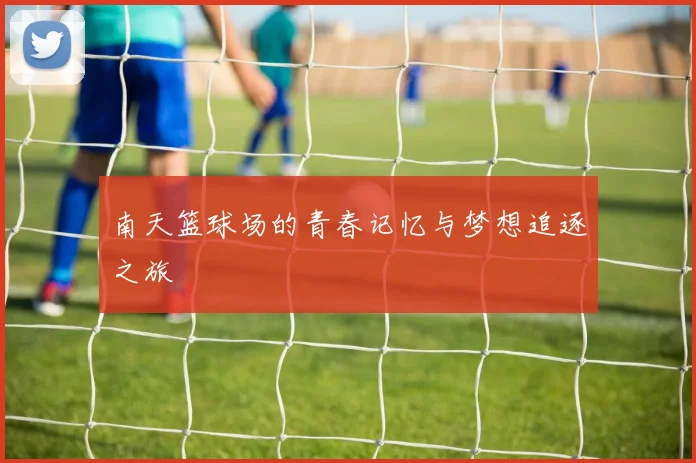 南天篮球场的青春记忆与梦想追逐之旅